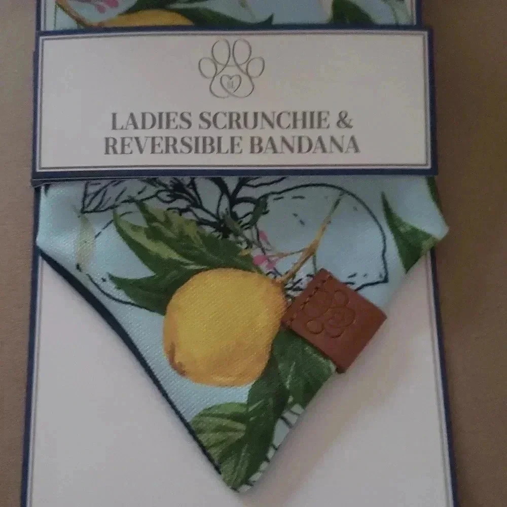 Pet Bandana With Matching Owner Scrunchie Set New